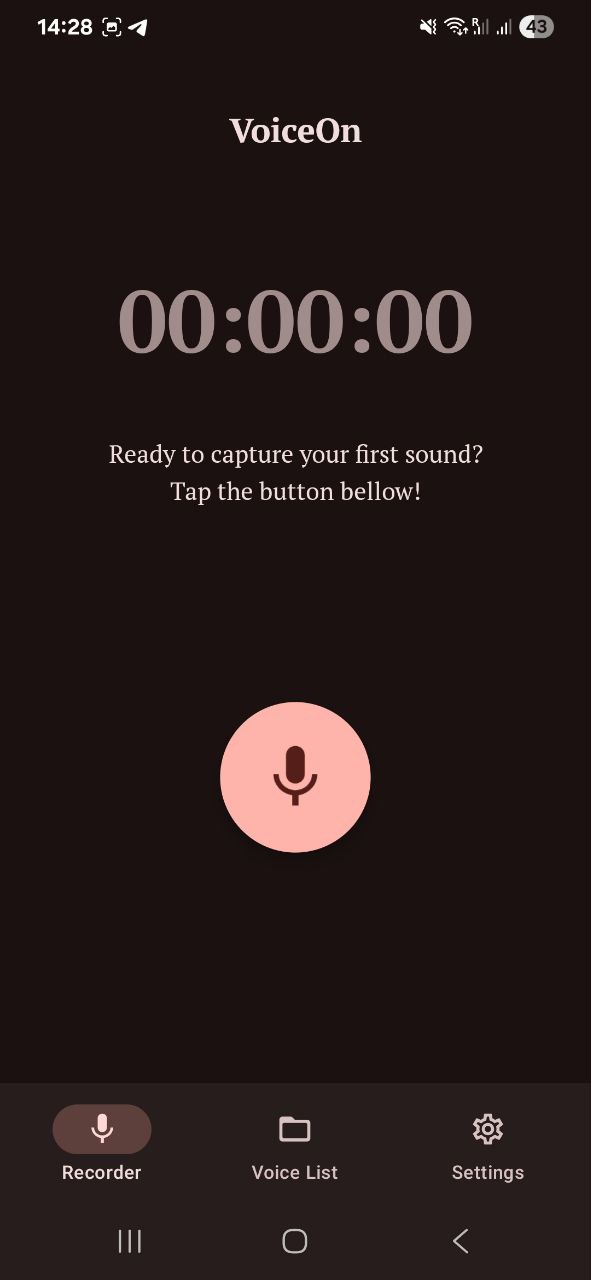Voice Recorder app interface screenshot 3