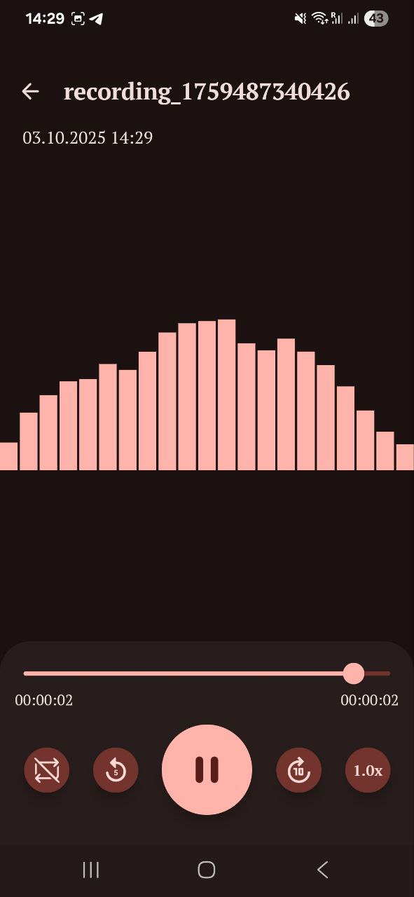 Voice Recorder app recording screen
